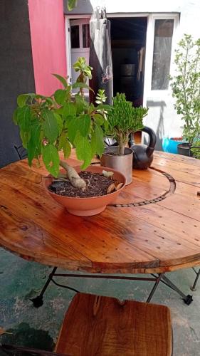 Bosque & Mar Apart Boutique in Atlantida