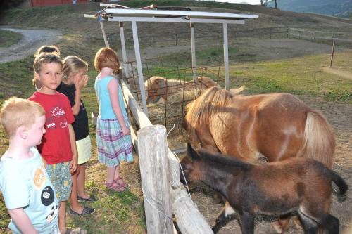 Agriturismo Polla