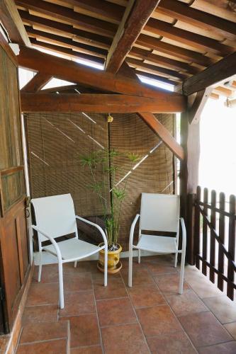 Albizia in La Redorte