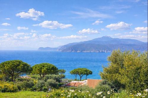 LE MUSE APARTMENTS - Elba Affitti