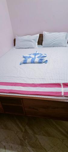 Hotel Blue Whale in Giridih