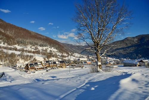 Hotel Osrblie in Lopej