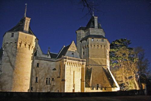 Demeure Château de Ternay