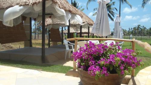 Fazenda Fiore Resort - 수영장