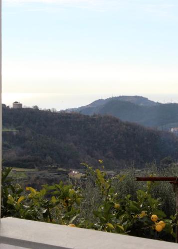 Appartamenti Tra gli Ulivi