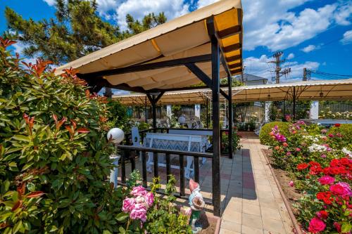 Viesnīcas āriene, Pension Casa Margo 2 Mai in 2 Mai