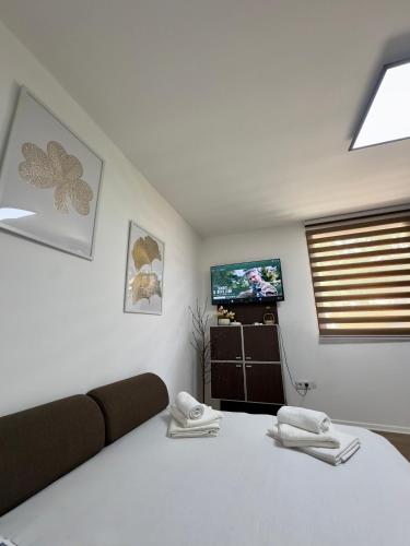 Arija Apartment Sarajevo - image 2