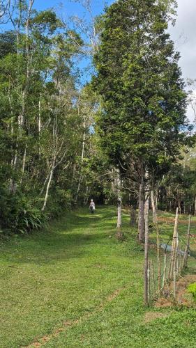 A piece of paradise in São Lourenço Da Serra