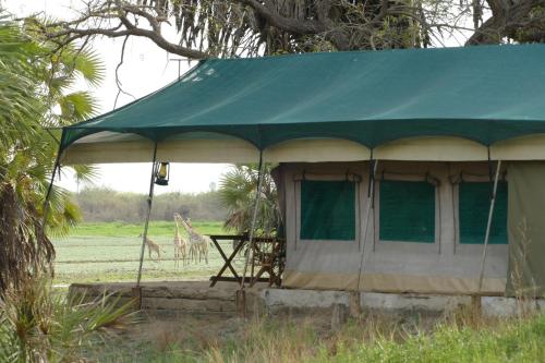 Skats, Lake Manze Camp camp in the heart of Nyerere National Park in Kwangwazi