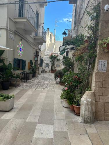 AmaVì (AmaVi) in Monopoli City Centre