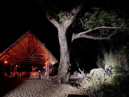 Iekārtas, Lake Manze Camp camp in the heart of Nyerere National Park in Kwangwazi