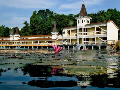Nearby attraction, Apartments in Heviz - Balaton 39945 in Egregy