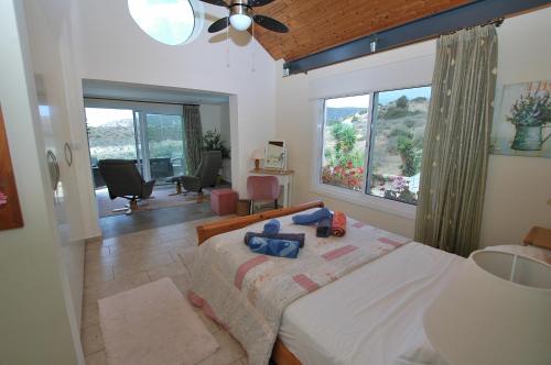 Villa Acanthus in 皮蘇里
