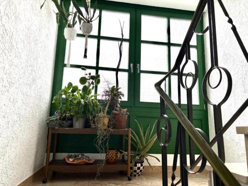 設施, Ferienwohnung Grüne Oase (Ferienwohnung Grune Oase) in 比紹夫斯海姆a.d.力弘