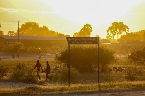 Ongula Village Homestead Lodge in Ondangwa