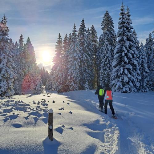 Au Coeur du Lapidaire in Septmoncel