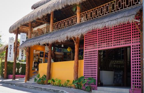 Hotel Diosa del Agua Bacalar 4