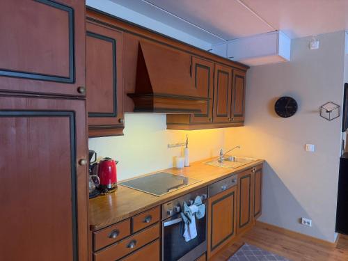 Cozy Ground-Floor Apartment In Beitostølen in โตสโตเลน