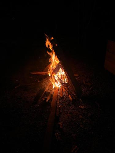 Seven falls camping daraniyagala – khách sạn tại Laxapana