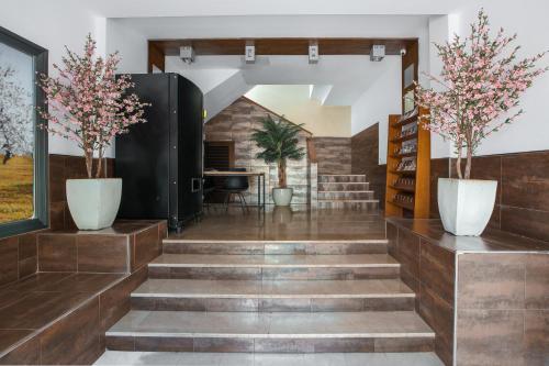 Apartamentos San Francisco - image 11