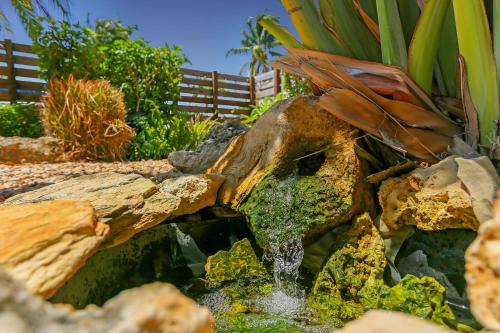 Ventur Escapade - Heated Pool, Private Guest House in Fort Lauderdale, USA