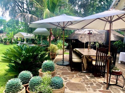 Sunshine Guest House in นิวแลนด์