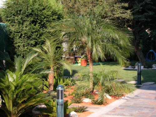 Hotels Image