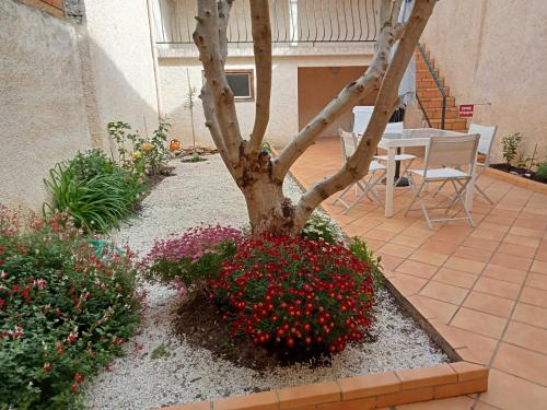 Le Patio gîte à louer Villegailhenc