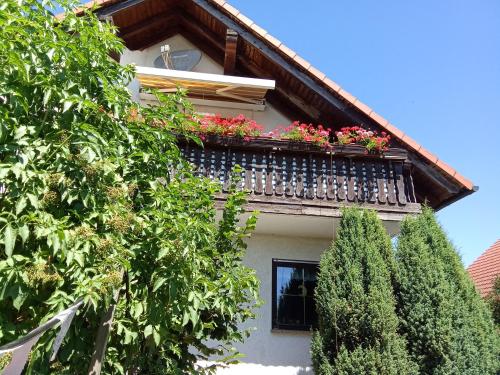 Viesnīcas āriene, Haus Carmen in Lossatal