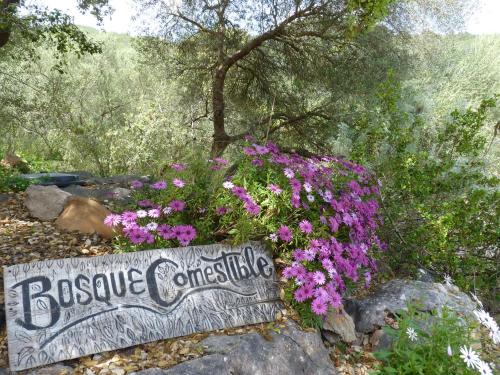 Agroturismo Can Torna