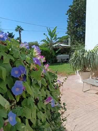 Sottovento Marzamemi Rooms&Relax 5
