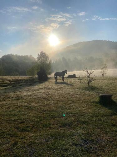 Apkārtne, domaine des planesses in Ramonchamp