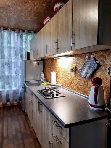 Chaty U ježka - Vranovská přehrada (Chaty U jezka - Vranovska prehrada) in Štítary