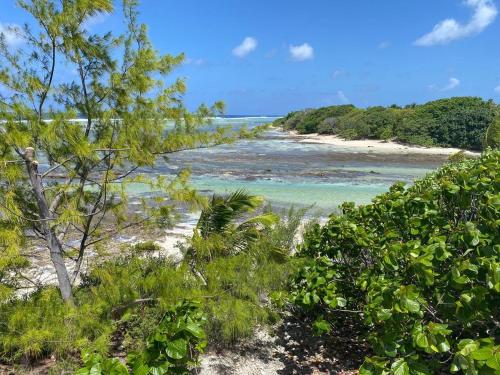 Rangiroa Reef Lodge in Rangiroa