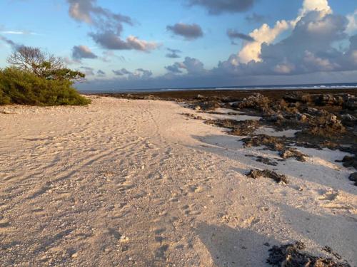 Rangiroa Reef Lodge in Rangiroa