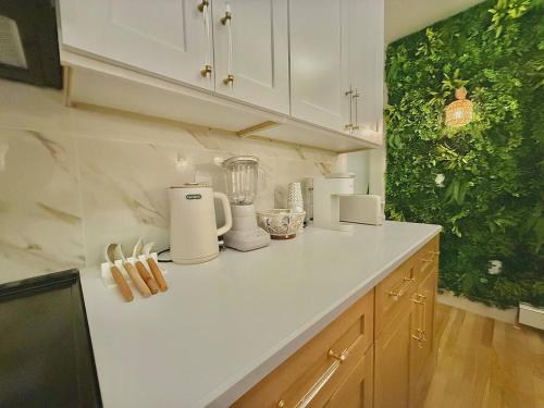 Spring Rooms by Yale & Downtown in 紐哈芬 (CT)