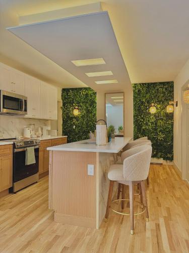 Spring Rooms by Yale & Downtown in 紐哈芬 (CT)