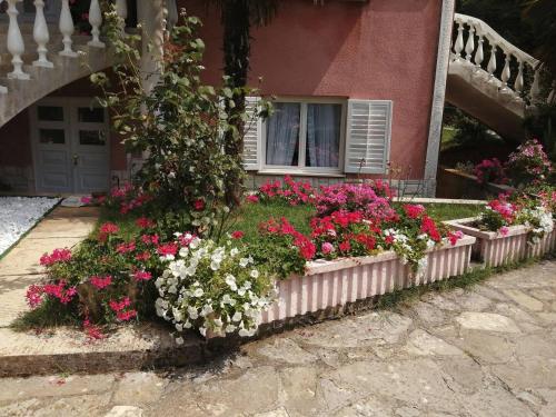 Ieeja, Apartment Villa Zizi in Viskovo