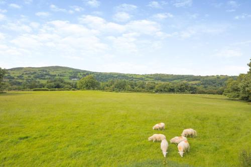 Iekārtas, 3 Bed in Bala oc-waf247 in Llangwm (Conwy)