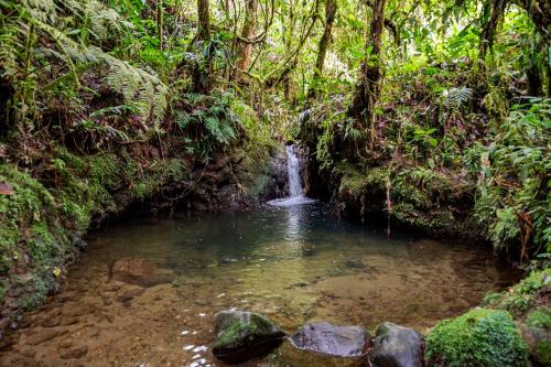 Boskoso Forest Retreat Jacuzzi & Waterfall