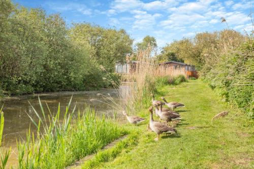 Iekārtas, 2 Bed in Welney oc-k29369 in Welney