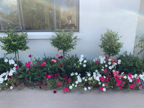 Private Retreat in 劍橋