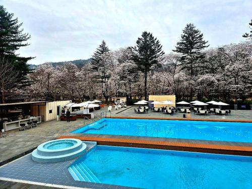 Nami Island Hotel Jeonggwanru in Chuncheon-si