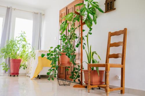 Résidence OHANA (Residence OHANA) in 布厄尼