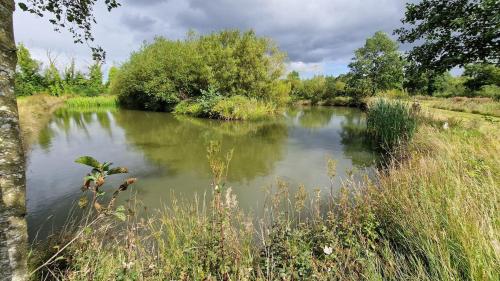 Garden, Welcome to Lakeland Fishery! in Rooskey