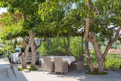 Villa with private pool terrace and garden in Nerezisca