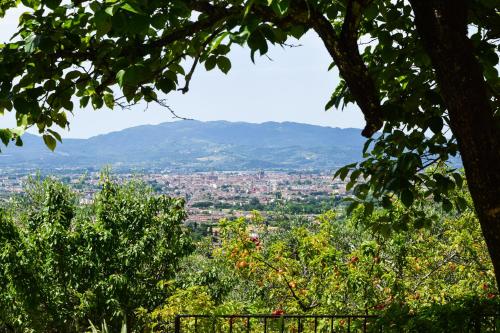 Villa Pacinotti - Saturnana