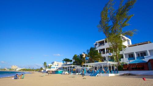 Beachside One bedroom Apt steps from prime beach generator parking included - image 3