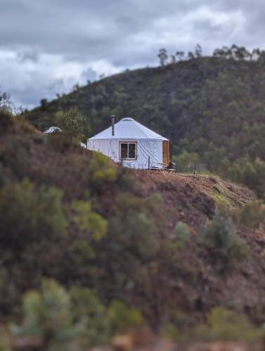 Cosy Yurt in The Algarvian Countryside gîte à louer Montes de Cima