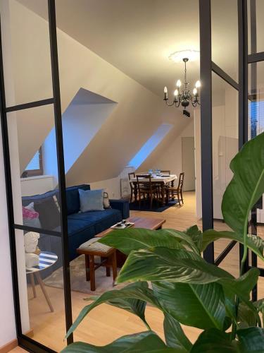 Amadeus Studio in 巴登市中心